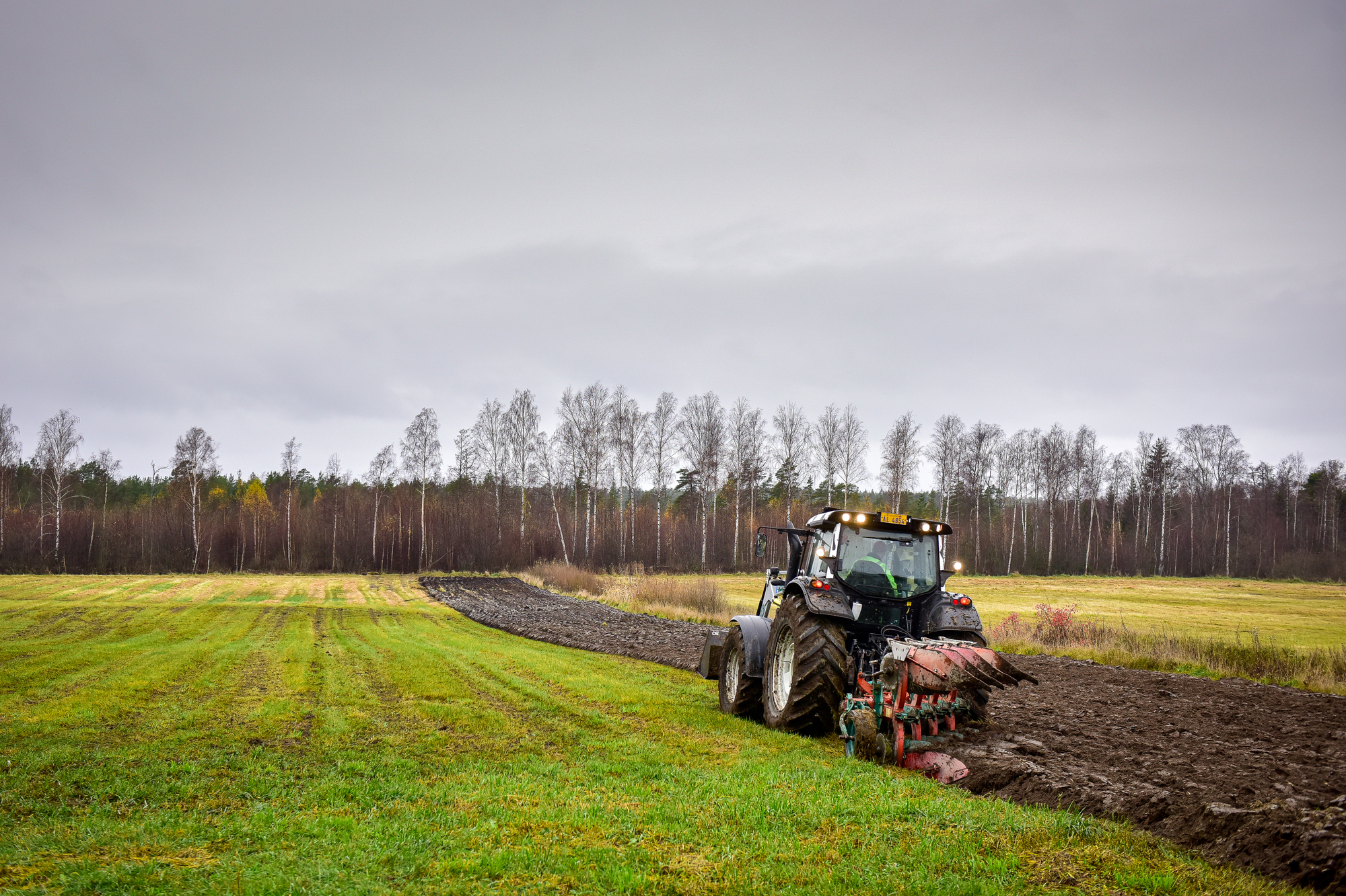 Ny livsmedelsstrategi ska trygga självförsörjningen