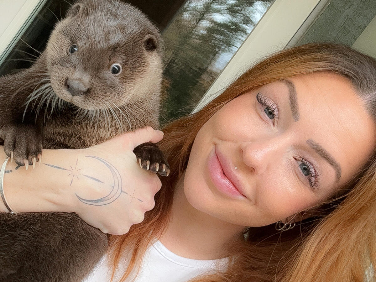 Ozzys oväntade succé – som kryptovaluta