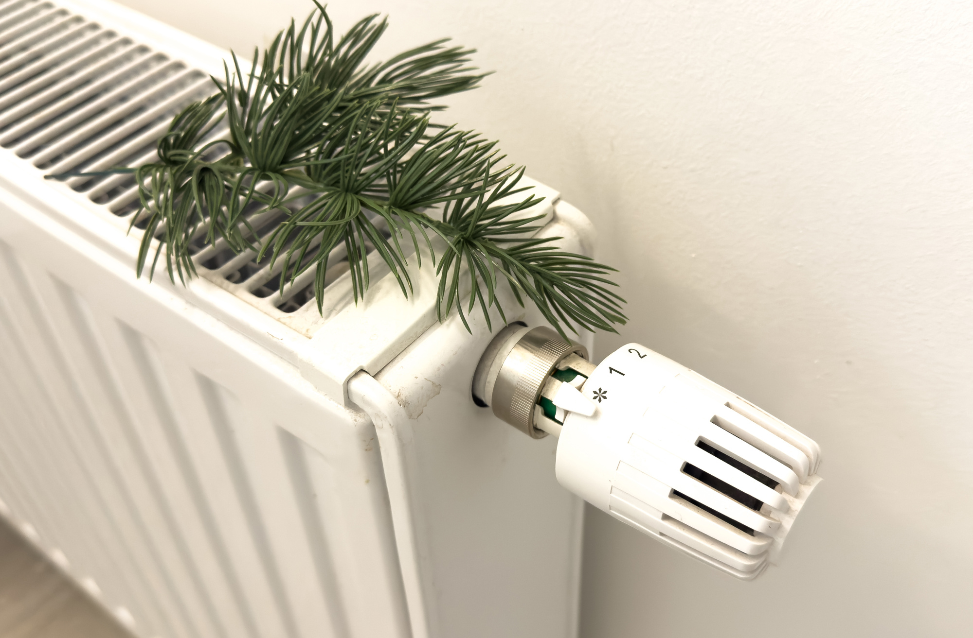 I vinter slipper du elchocken