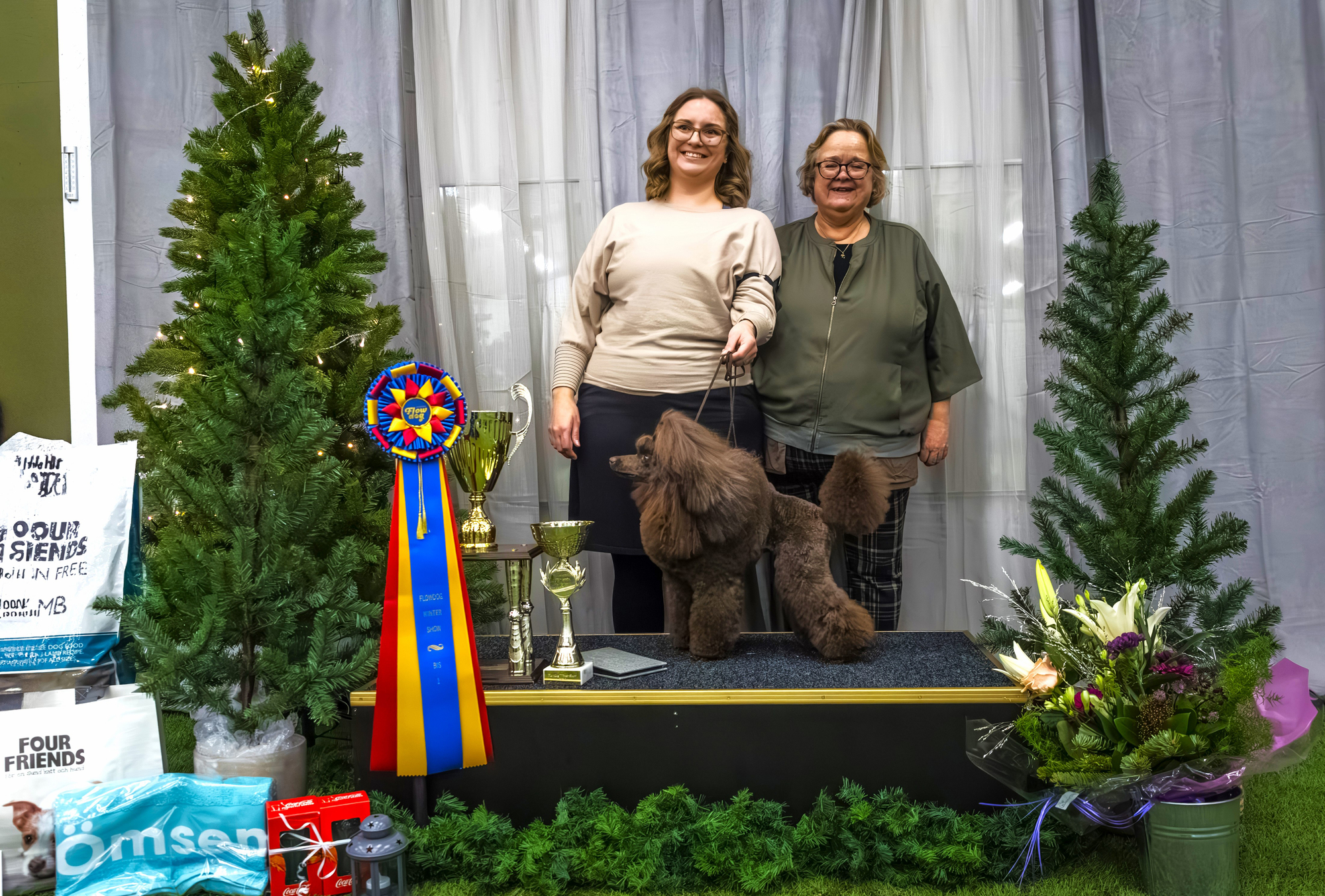 Över 40 ekipage på vintrig hundutställning