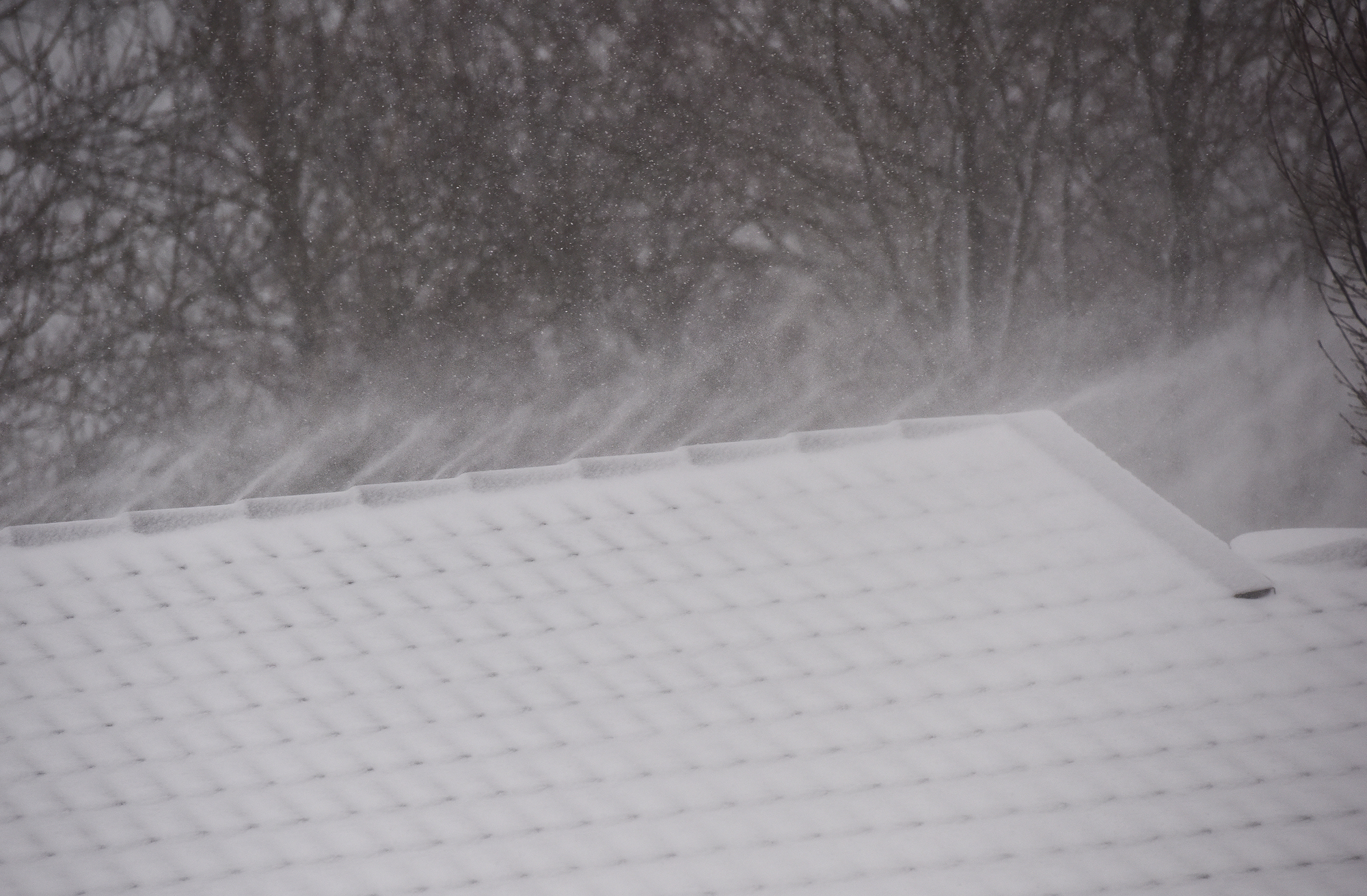 FMI: Stormen Lyly nådde orkanstyrka