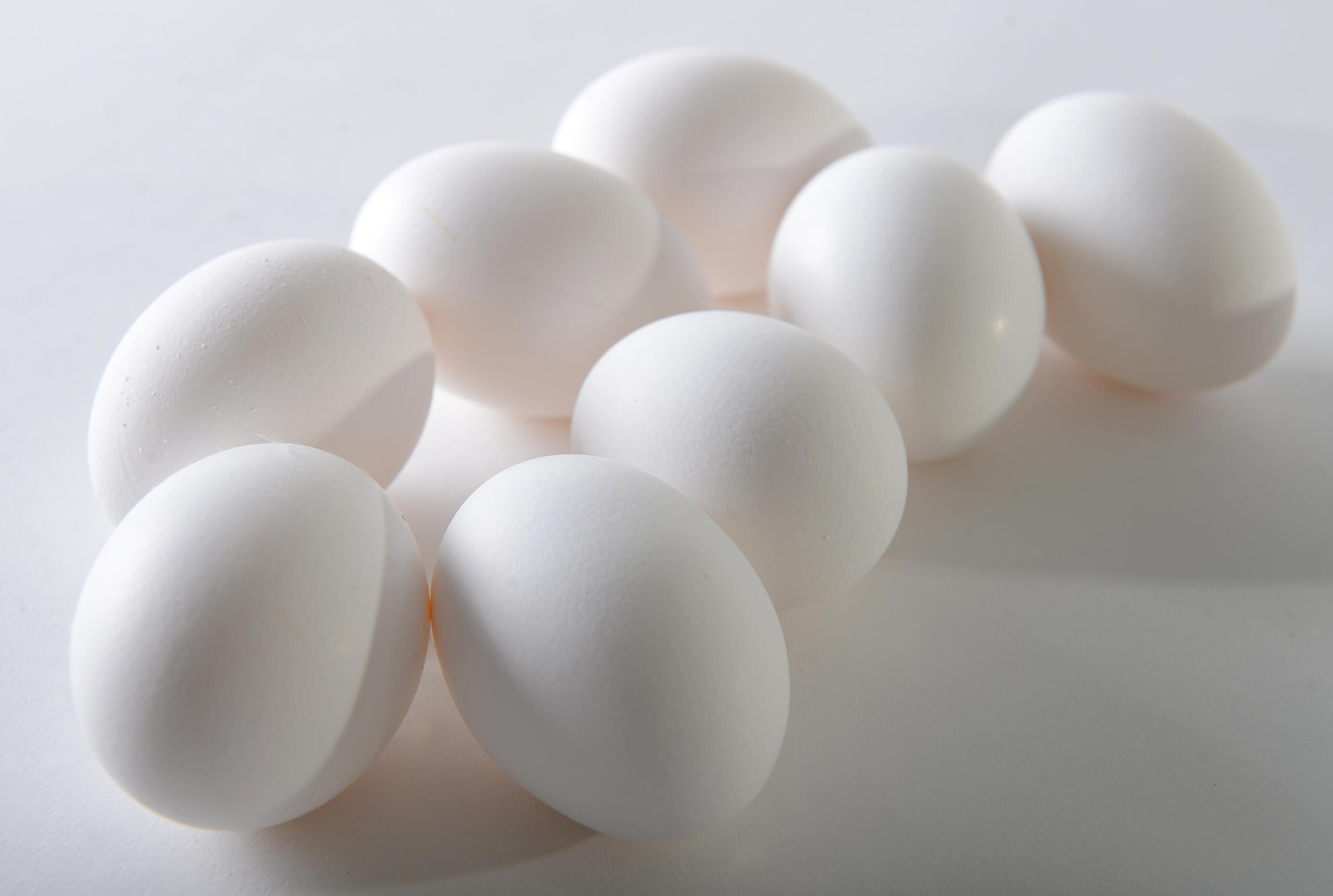 Misstanke om salmonella i ägg