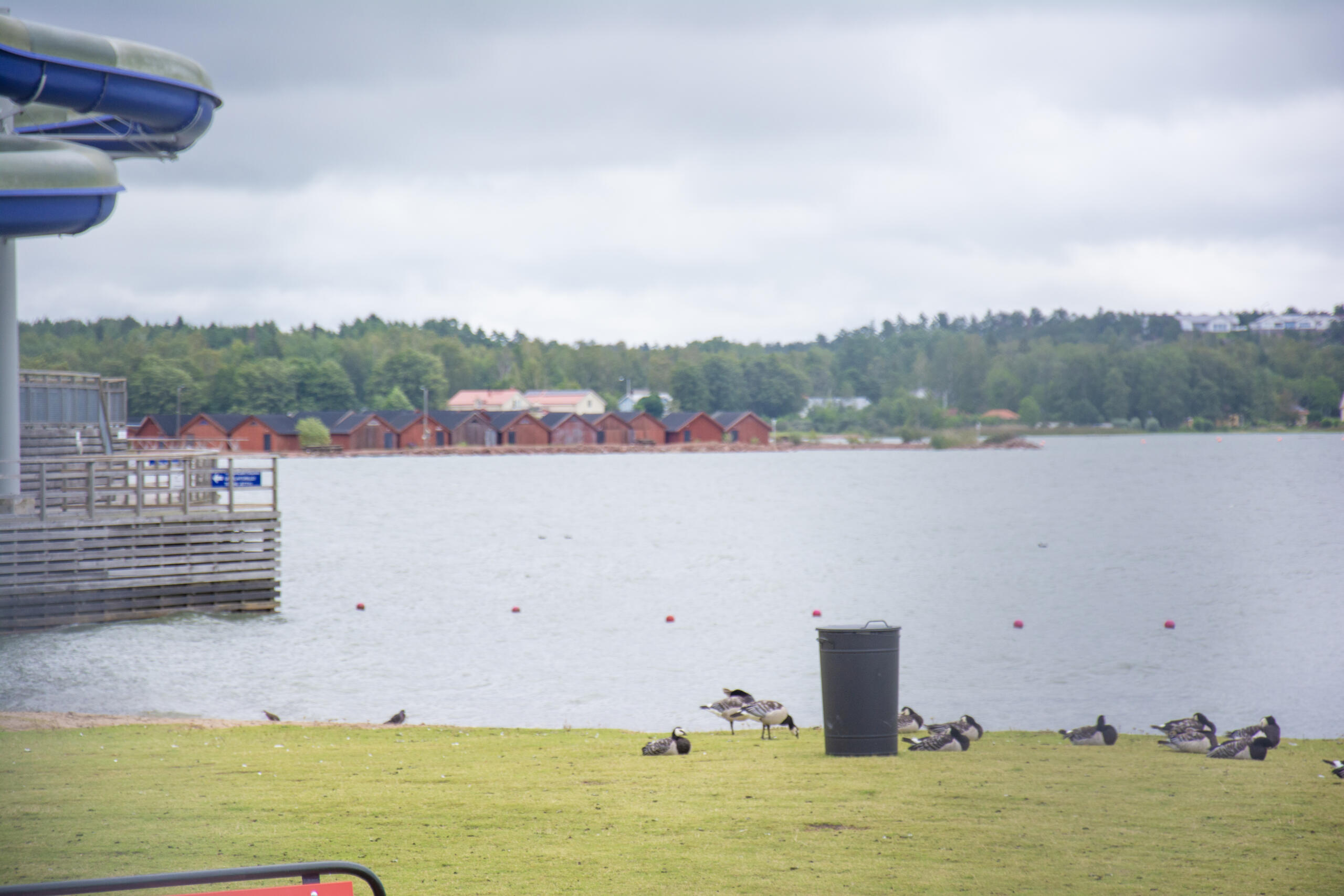 ÅMHM avråder från badande utanför Mariebad – gäller hela sommaren