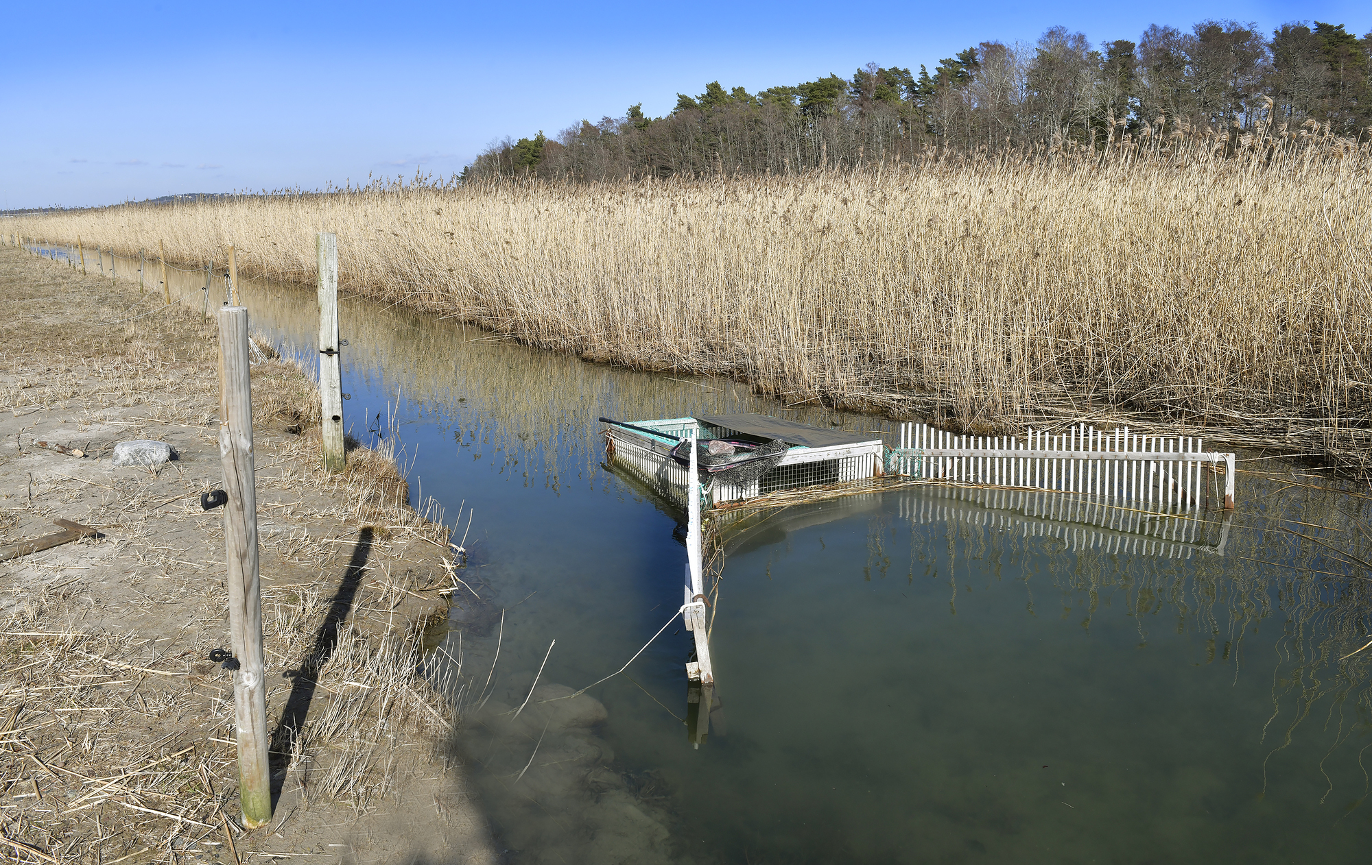 Toppnotering i fiskefälla ifjol – töms varje dag