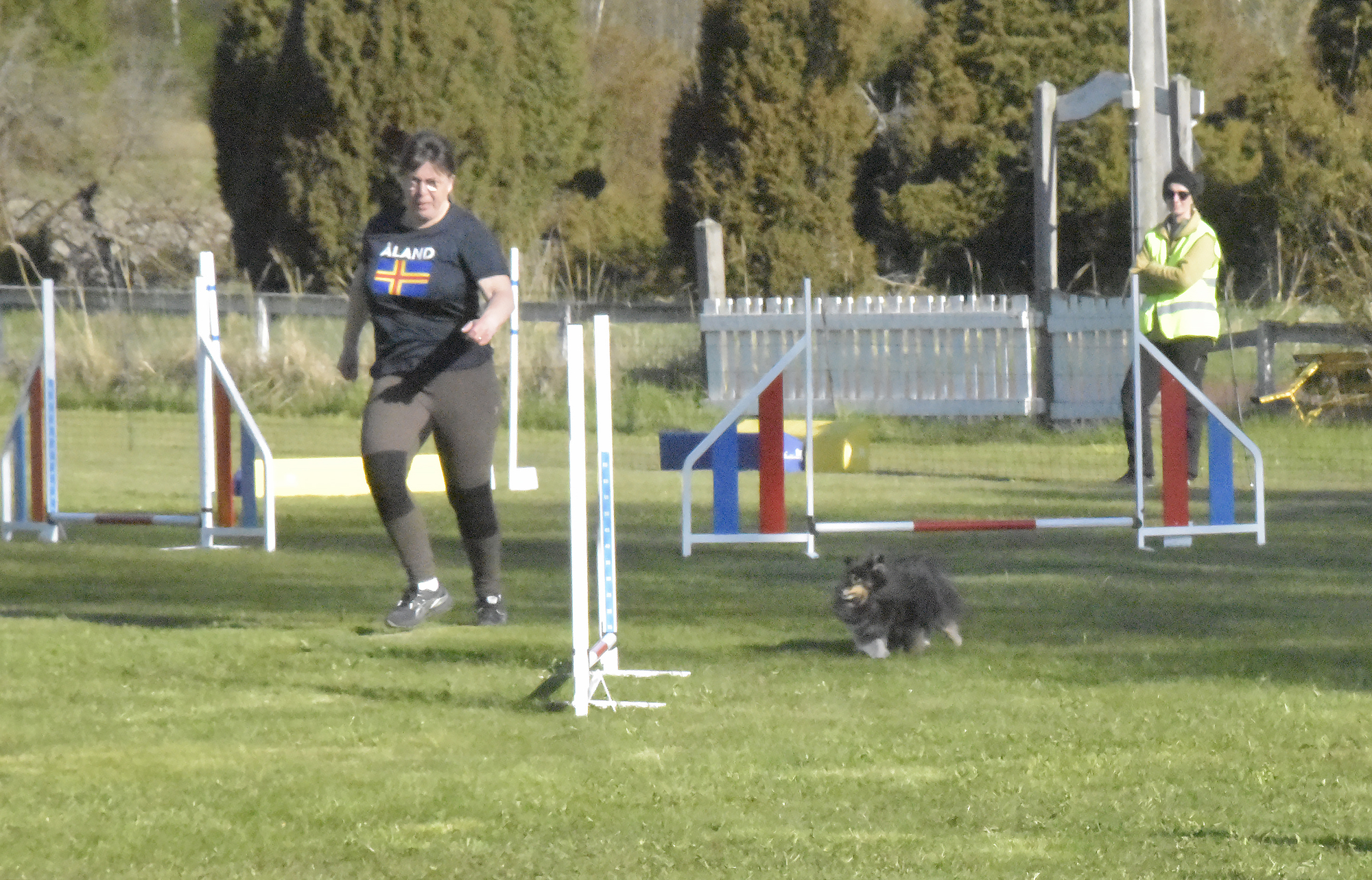 Aktiva hundar och förare under helgens agilitycup