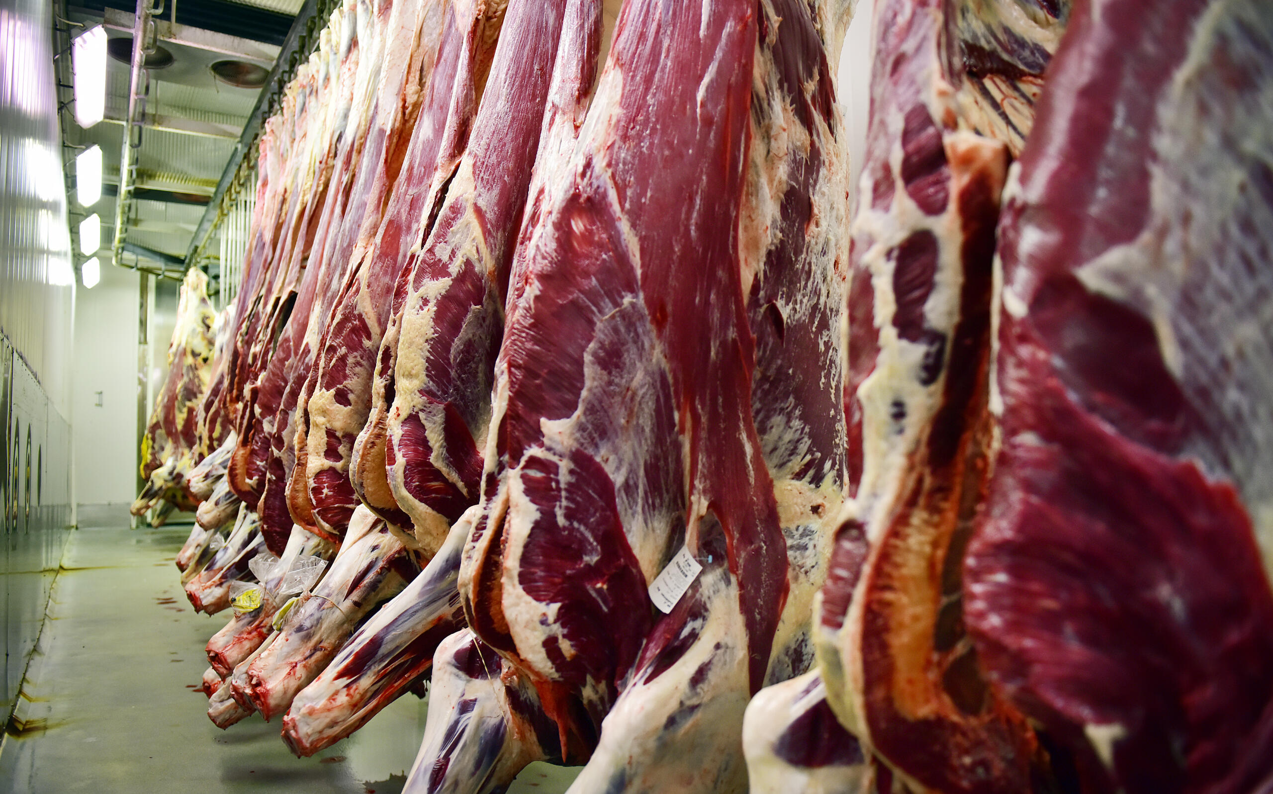 Män överdoserar kött, kvinnor har järnbrist