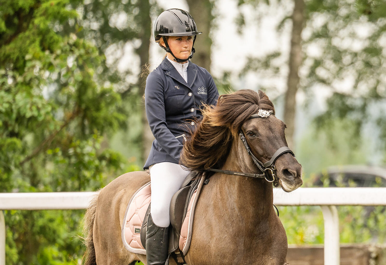 Åländskt guld i FM för islandshästar