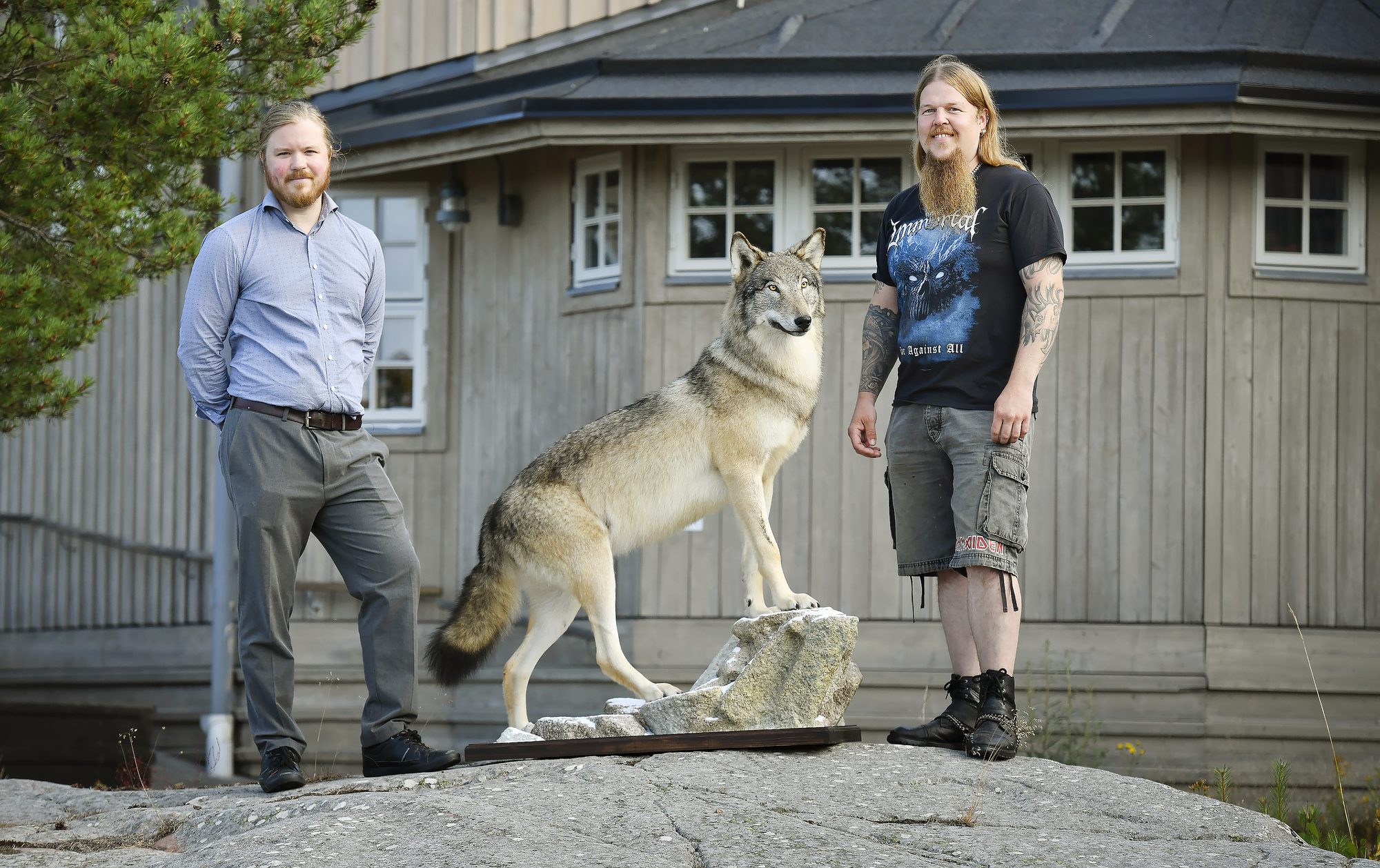 Här flyttas vargen till Eckerö