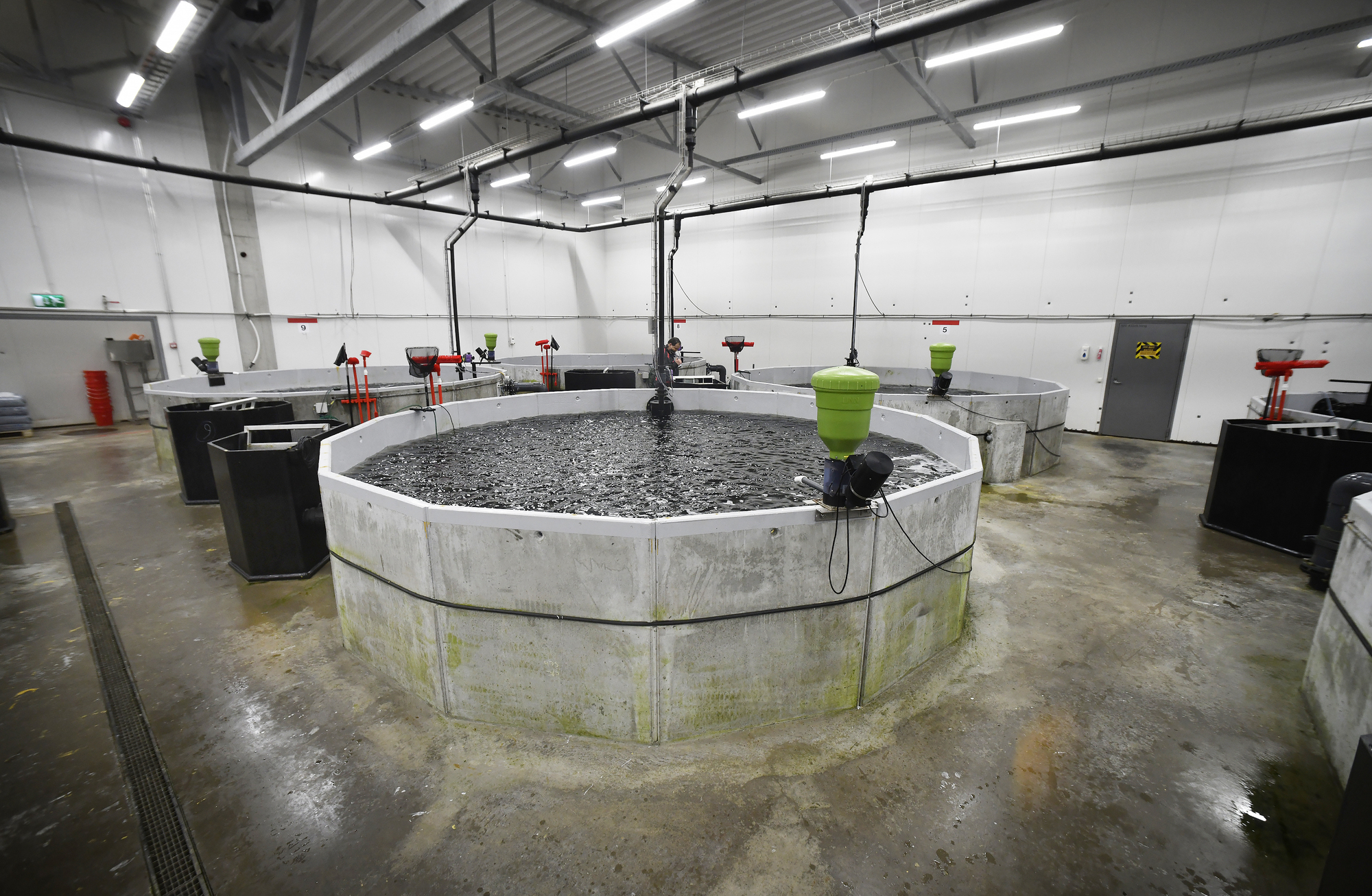 Klart: De köper Fifax