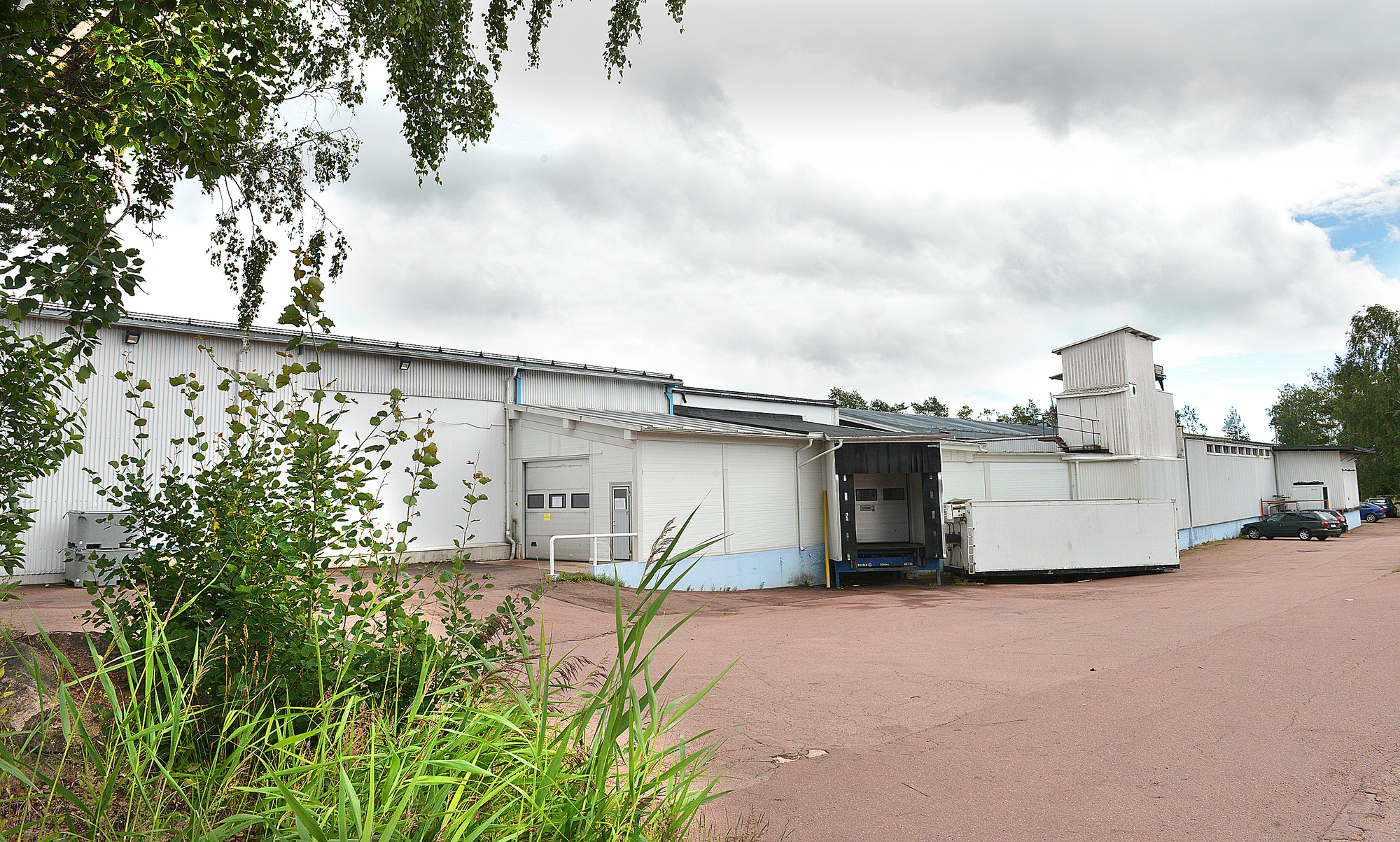 Chipsters: Vi var redo att köpa fisk