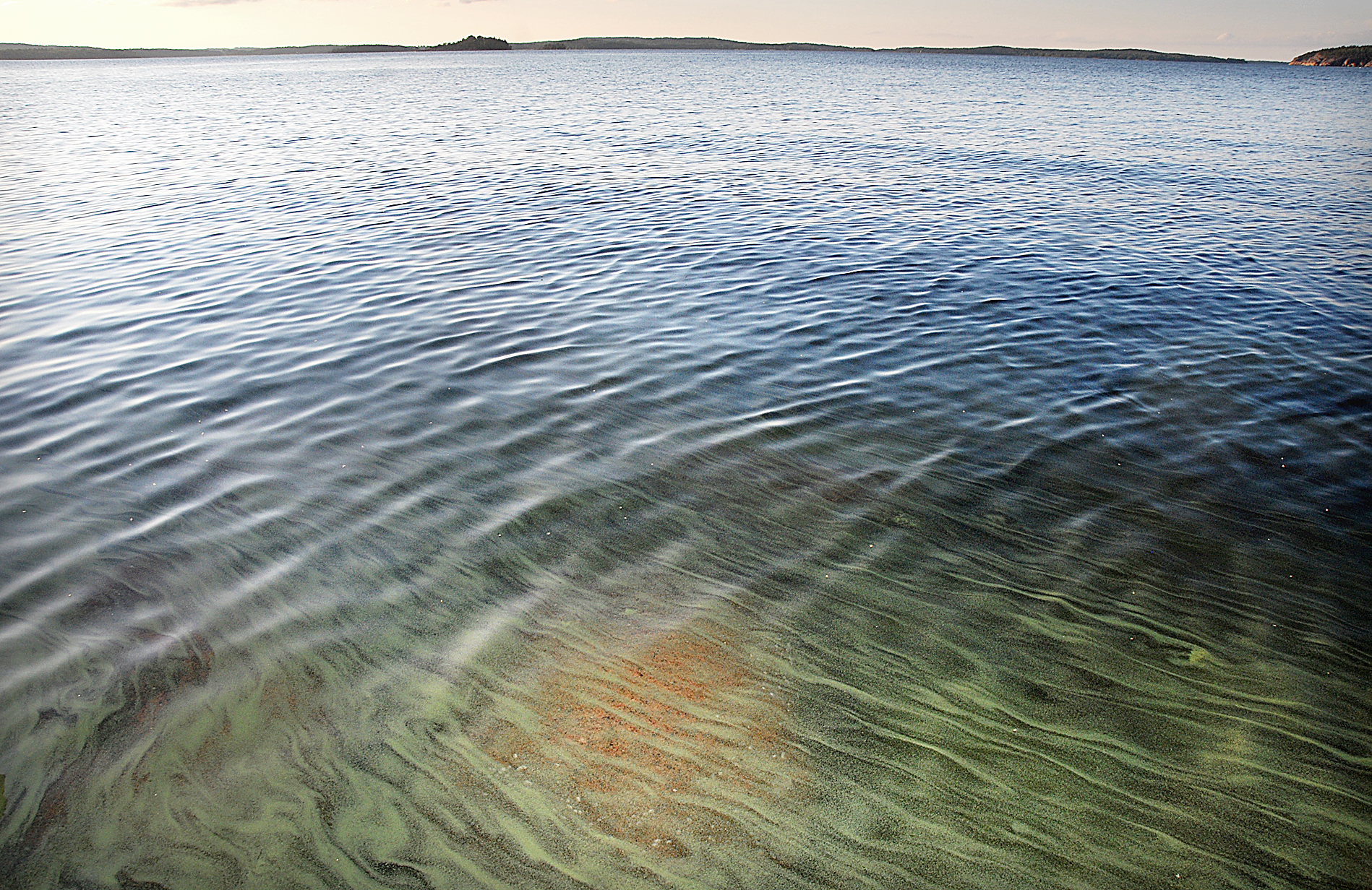 Stoppa sättfiskodlingen i Ängösund – för Lumparns framtid