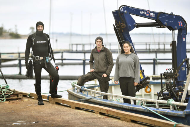 Fiskodlarna testar Östersjövänlig bisyssla