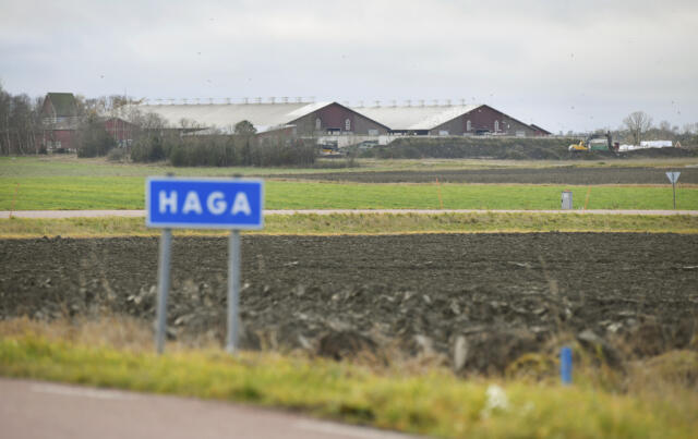 Haga kungsgård bestrider stämningen
