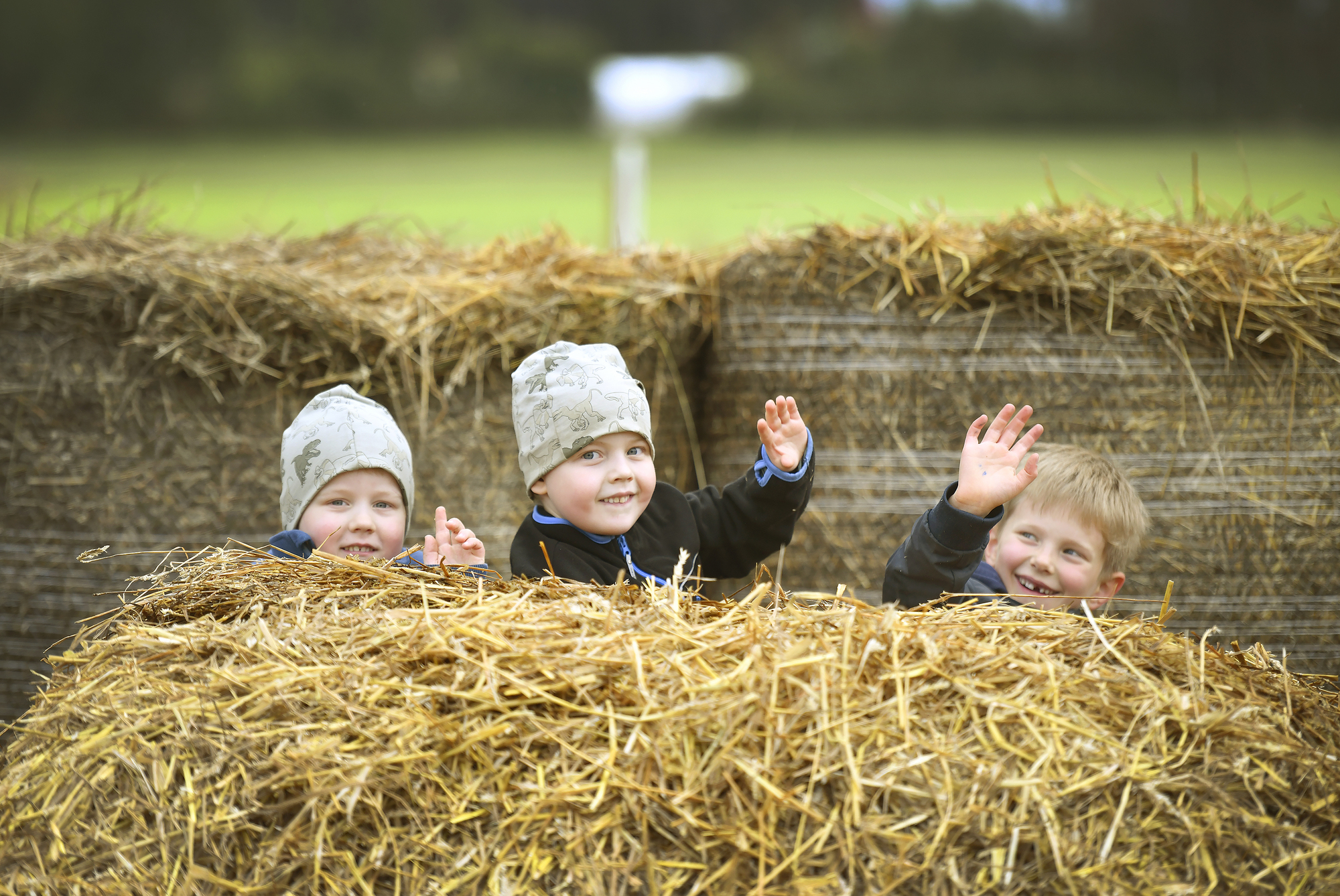 Skördefestfirande i Strömsö-tappning