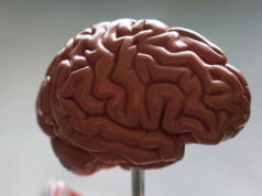 Neurodiversitet är en del av mångfalden