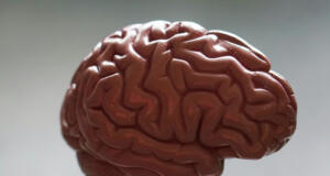 Neurodiversitet är en del av mångfalden