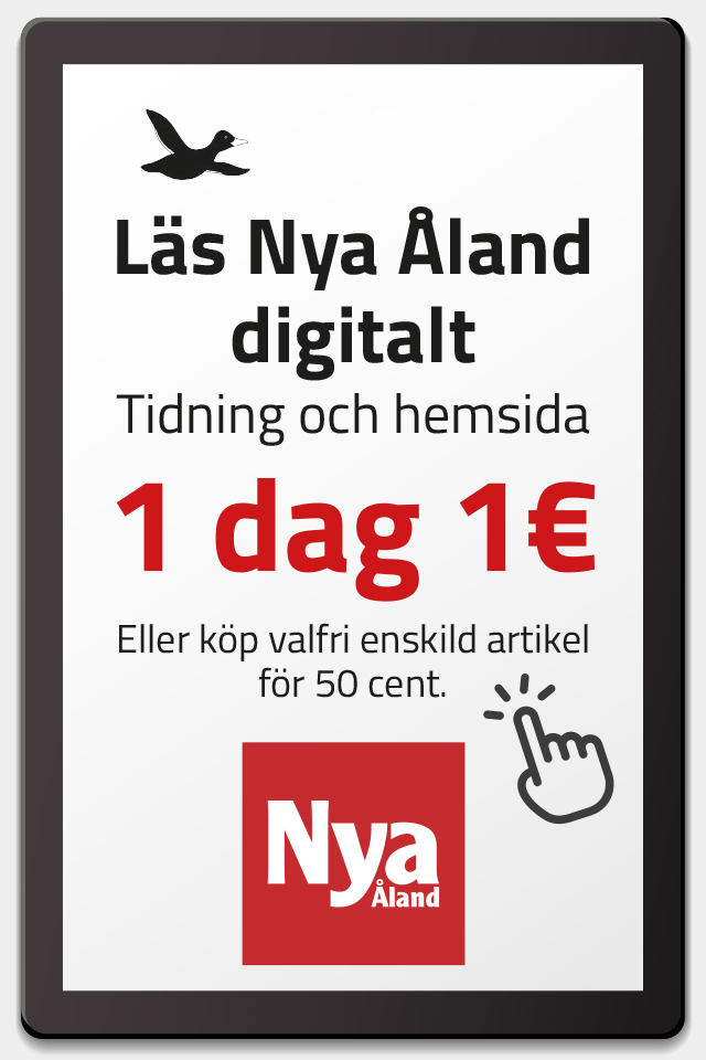 Nyan 1 euro