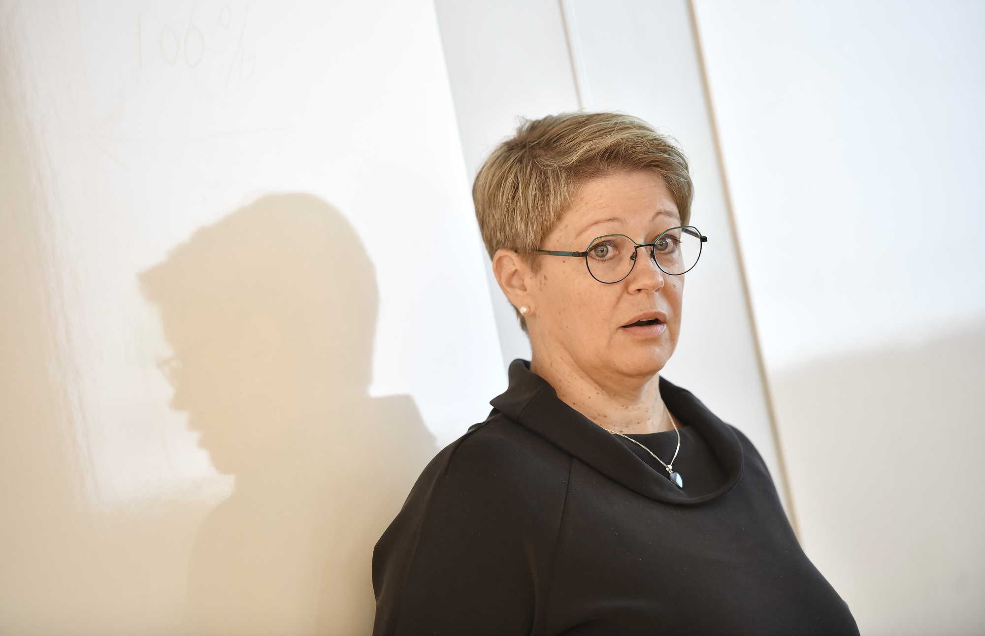 Pajunen: ”Diktamen är ett misslyckande”