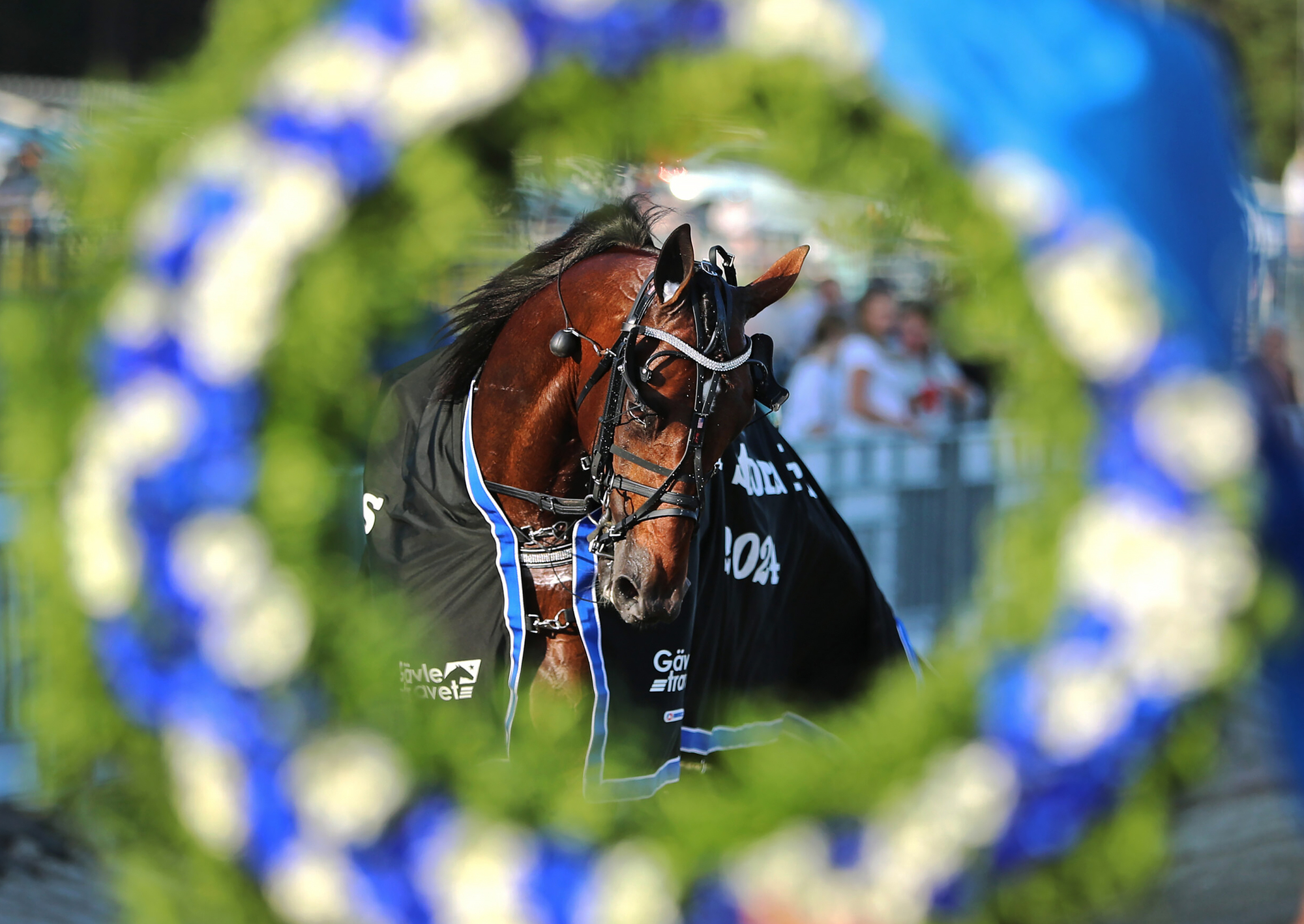 Helgens trav: Skrällbud i premiärloppet av V85