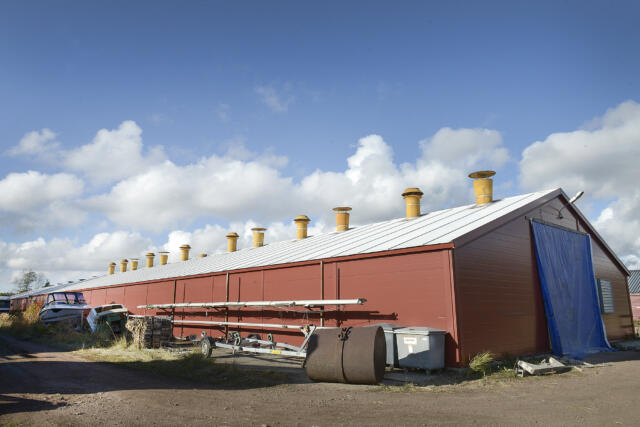 Elbåtsprojekt kan sluta i fängelsedom