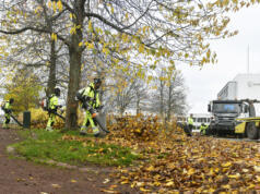 1000 kubikmeter löv samlas in i stan under hösten