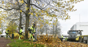 1000 kubikmeter löv samlas in i stan under hösten