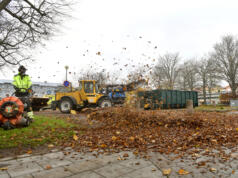 1000 kubikmeter löv samlas in i stan under hösten