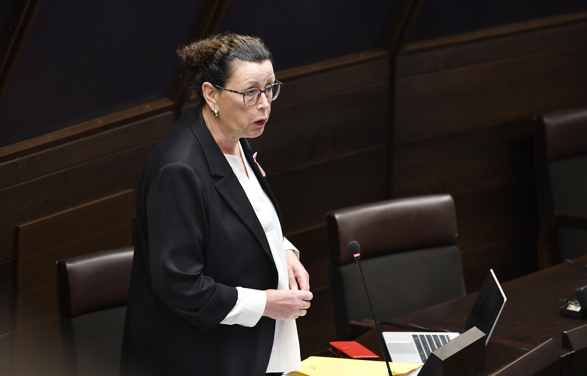 Tio budget-motioner från Pro Åland