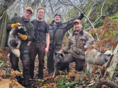 Judasmårdhund är lös på västra Kökar