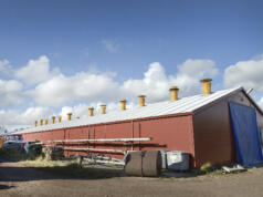 Efter elbåtsprojektet: Båthusets ledning döms till fängelse