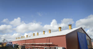 Efter elbåtsprojektet: Båthusets ledning döms till fängelse