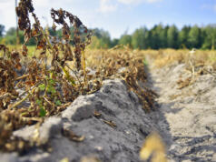 Var är jordbrukets klimatrådgivare?