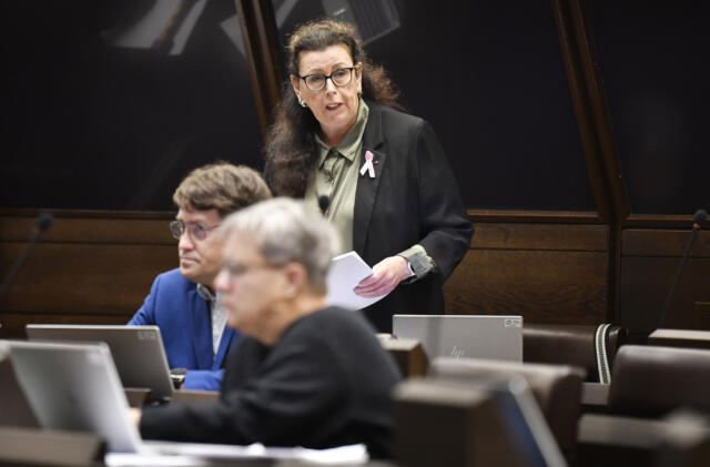 Thörnroos frågar om skärgårdstrafiken