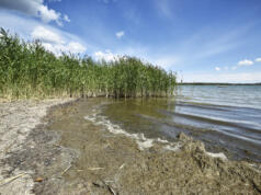 Nätverk tar fram 34 åtgärder för att skydda Östersjön