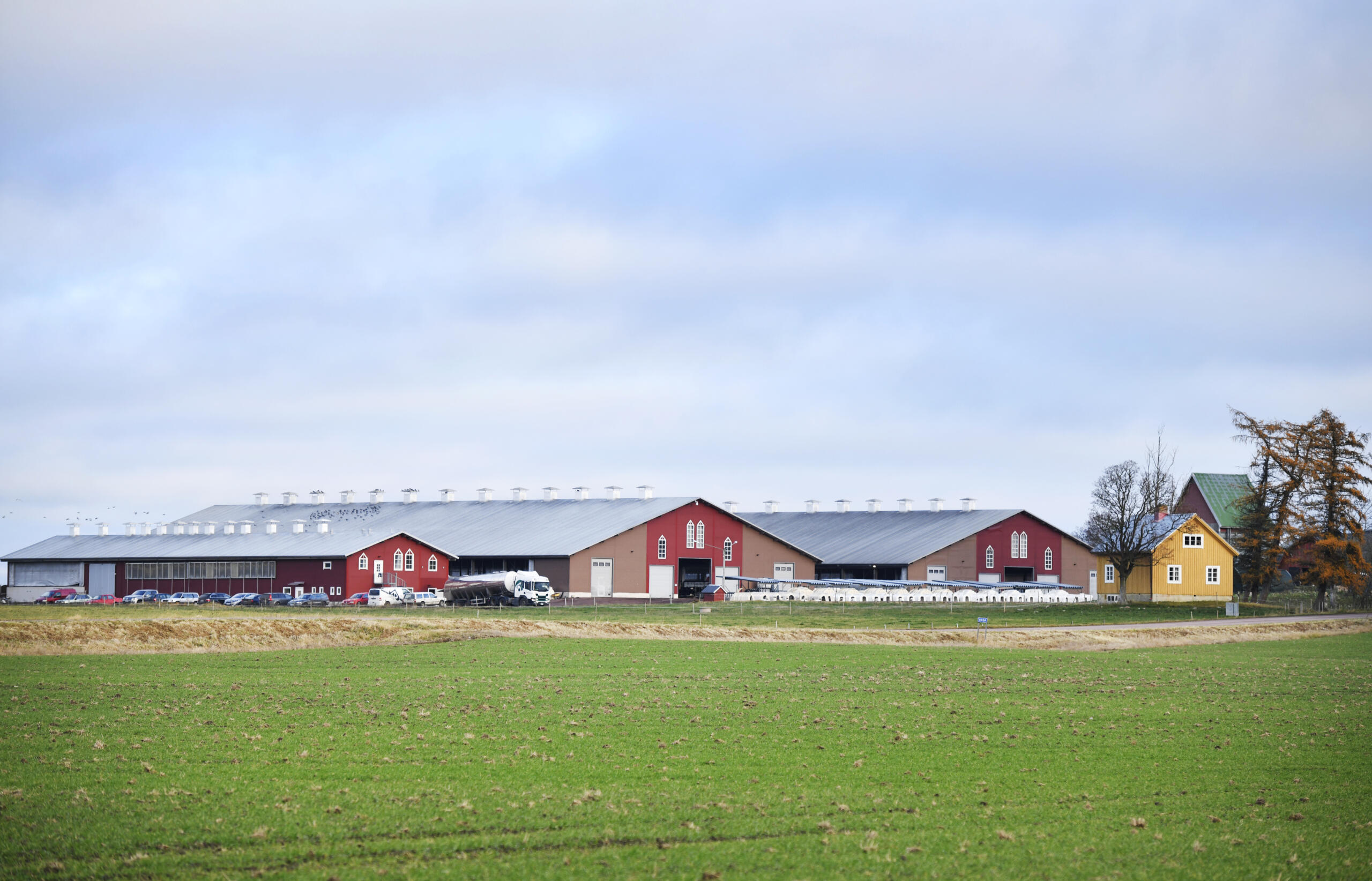 Fortsatt begäran om kvarstad av Haga kungsgårds egendom