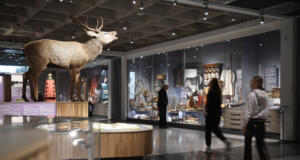 Digitaliseringens mål: upplev museets samlingar från soffan