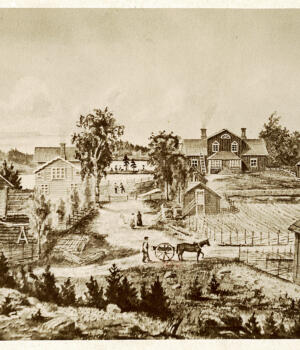 Fotopärlan: Bildgåtan som gäckar antikvarien