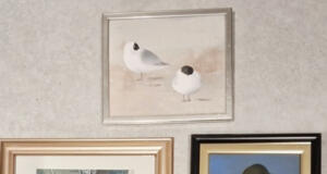 Önningebymuseet tar emot tavlor i gåva