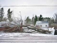 Hög tid att göra sig redo för vinterns stormar och elavbrott