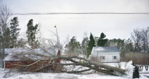 Hög tid att göra sig redo för vinterns stormar och elavbrott