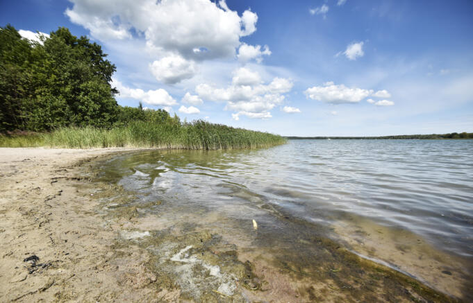 Nätverk tar fram 34 åtgärder för att skydda Östersjön