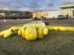 Efter handskadan: ”Sparisgubben” går i dvala i väntan på ”operation”