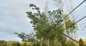 Nytt montörslag från Finland ska hjälpa till för att ge de sista strömmen tillbaka