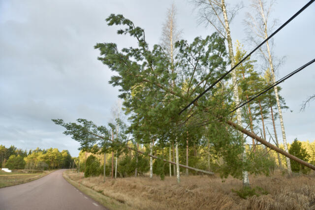 Fritidsfastigheter ännu utan el – omfattande skador i elnätet