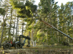Så klarade Åland stormen Hannes