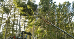 Så klarade Åland stormen Hannes