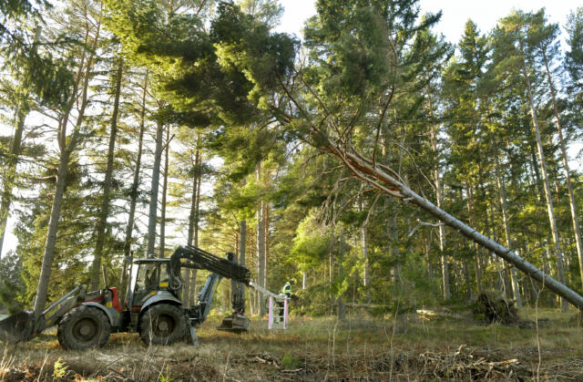 Så klarade Åland stormen Hannes