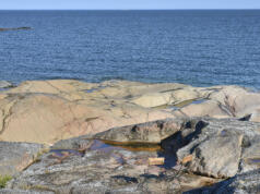 Norrhavets vänner fick inget Paf-stöd