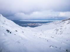 Är Grönland en tillräckligt europeisk angelägenhet?
