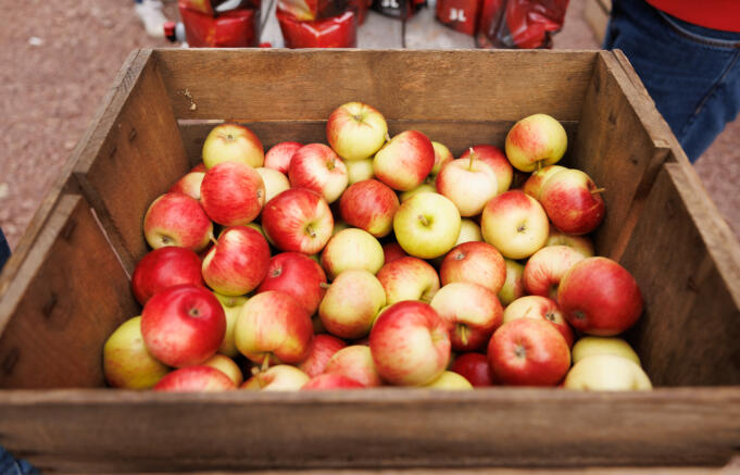 Uppsving med halv miljon för åländska lantbruket